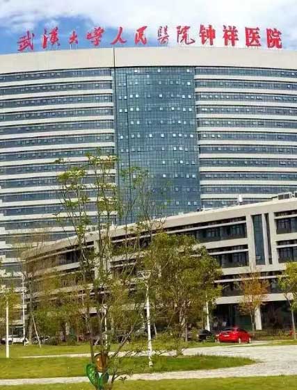 ����������tԺ����h��W(xu��)�����tԺ��